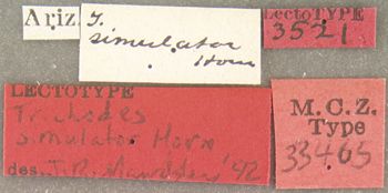 Media type: image;   Entomology 33465 Aspect: labels